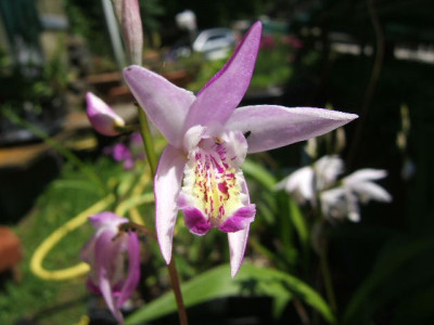 DSCF9393.JPG