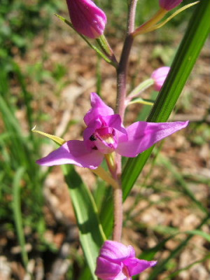 DSCF9372.JPG