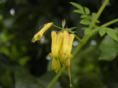 Kopie_von_DSCN1604.JPG