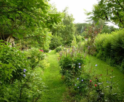 Garten_19062009.jpg