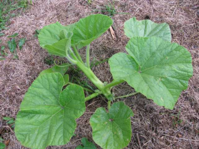K640_IMG_0653.JPG