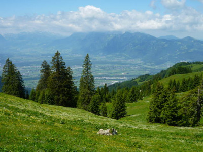 P1000145.jpg