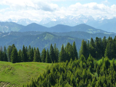 P1000156.jpg
