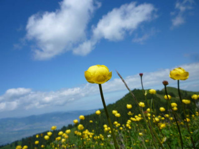 P1000160.jpg