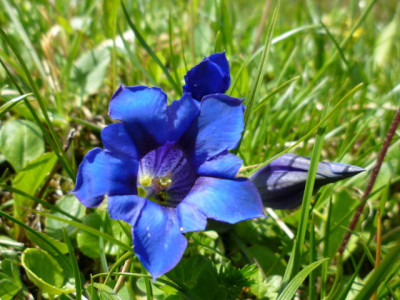 P1000134.jpg