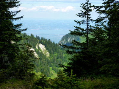 P1000172.jpg