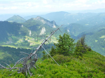 P1000175.jpg