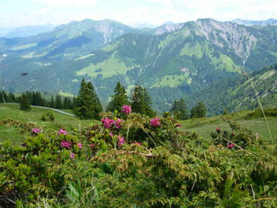 P1000197.jpg