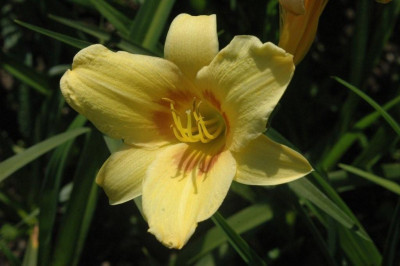 14._06._2009_066.jpg