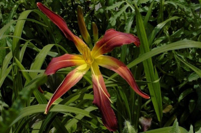 14._06._2009_074.jpg
