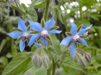 PICT3011.JPG