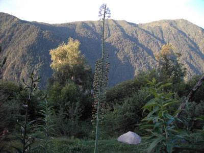 K640_PICT0015.JPG