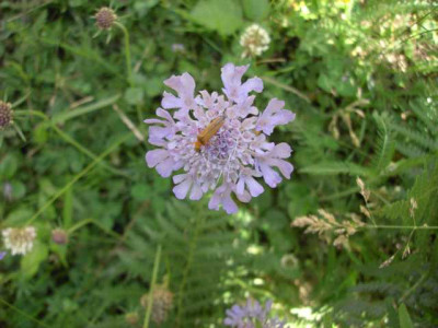 K640_PICT0020.JPG