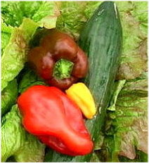 gleicher_paprika09.JPG