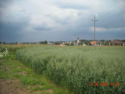 DSCN0894.jpg
