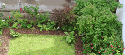 Juni09.gif