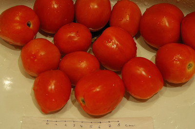 tomate_road_to_varanasi.jpg