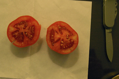 tomate_road_to_varanasi_2.jpg