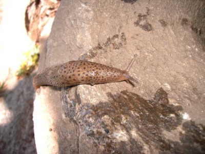 K640_PICT0065.JPG