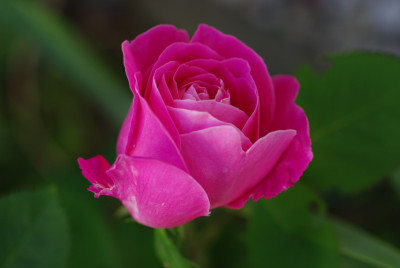 IMGP2792.jpg
