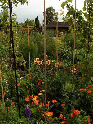 zg_garten_20990622_4.jpg