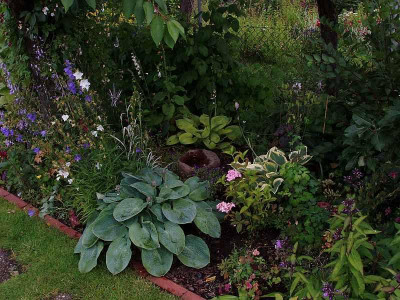 zg_garten_20990622_3.jpg