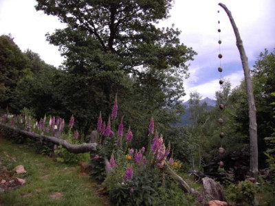 K640_PICT0151.JPG