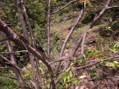 K640_PICT0144.JPG