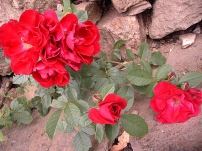 K640_PICT0161.JPG