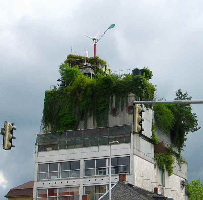 Dschungel-grostadt.jpg