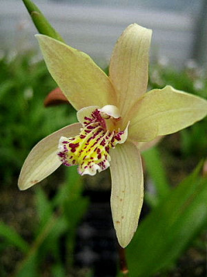 DSCF9487.JPG