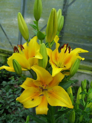 DSCF9452.JPG