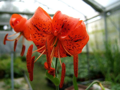 DSCF9448.JPG