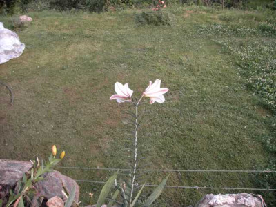 K640_PICT0235.JPG