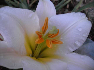 K640_PICT0236.JPG