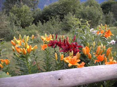 K640_PICT0242.JPG