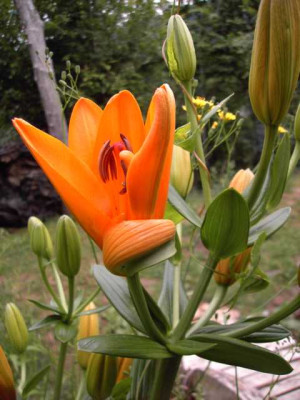 K640_PICT0131.JPG