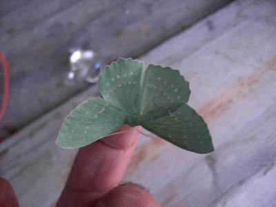 K640_PICT0191.JPG