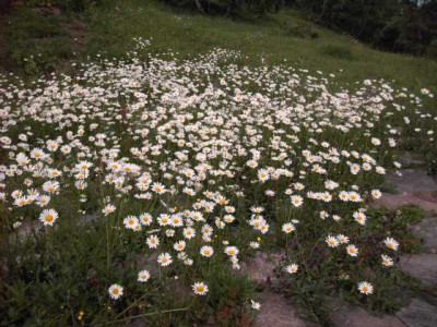 K640_PICT0215.JPG
