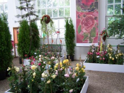 Rosenschau09_028.jpg