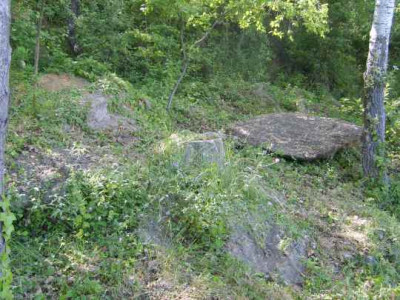 Wildwuchs3.jpg