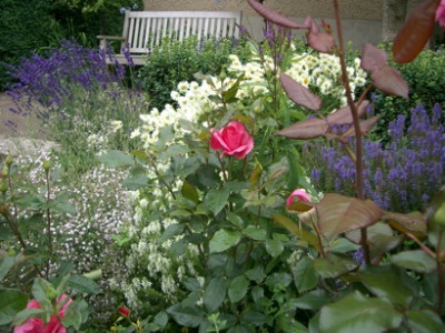 IMGP7839.JPG