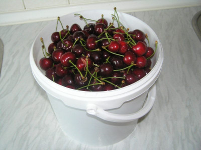 ertne260609.jpg