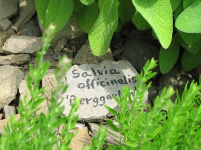 Garten__Steinidee28.jpg
