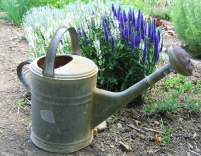 Gerumpel-01.jpg