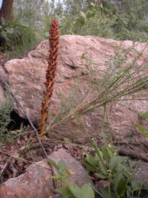 K640_PICT0206.JPG