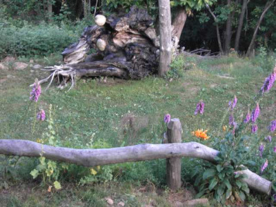 K640_PICT0325.JPG