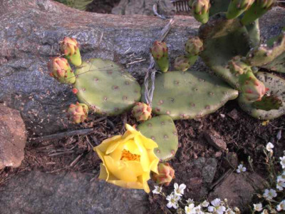 K640_PICT0359.JPG