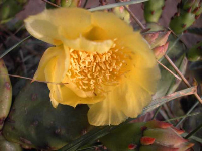 K640_PICT0360.JPG