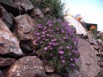 K640_PICT0355.JPG